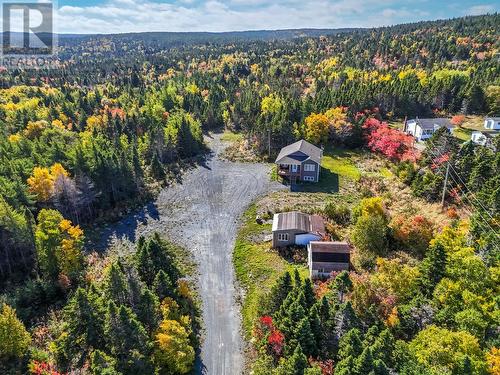 3 Hopkins Road, Brownsdale, NL - Outdoor With View