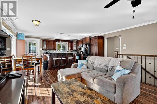 3 Hopkins Road, Brownsdale, NL - Indoor Photo Showing Living Room