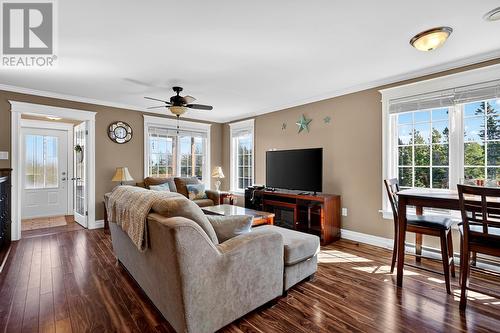 3 Hopkins Road, Brownsdale, NL - Indoor Photo Showing Living Room