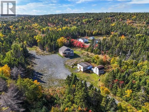 3 Hopkins Road, Brownsdale, NL - Outdoor With View