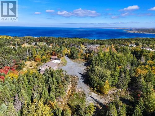 3 Hopkins Road, Brownsdale, NL - Outdoor With Body Of Water With View