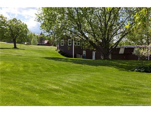 427 165 Rte, Riceville, NB 