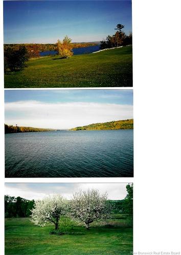 427 165 Rte, Riceville, NB 