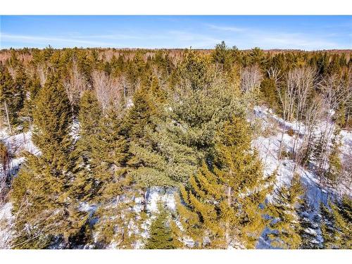 Lot Rte 3 Rte, York Mills, NB 