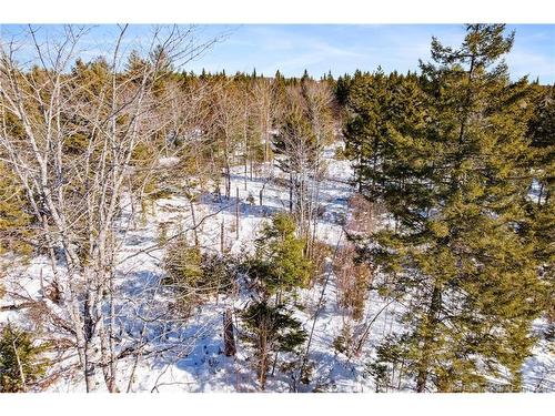 Lot Rte 3 Rte, York Mills, NB 