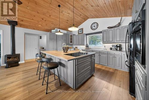 5317 Ardoch Road, Frontenac (Frontenac North), ON - Indoor Photo Showing Kitchen With Upgraded Kitchen