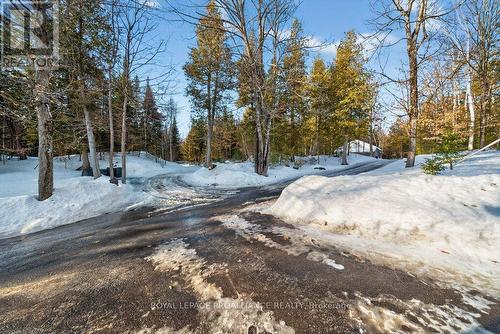 5317 Ardoch Road, Frontenac (Frontenac North), ON - Outdoor