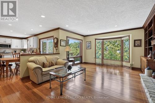 Main Floor: Family Room - 126 Somerset Road, London South (South K), ON - Indoor Photo Showing Living Room