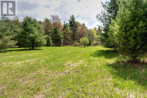 159 Temperance Lake Road, Athens, ON 