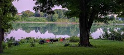 Vue sur l'eau - 