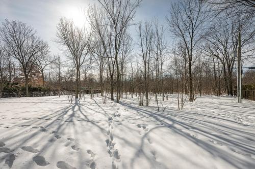 Cour - 1254 Rue Du Boisé, Boucherville, QC - Outdoor With View