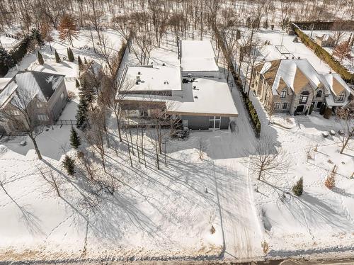 Vue d'ensemble - 1254 Rue Du Boisé, Boucherville, QC - Outdoor