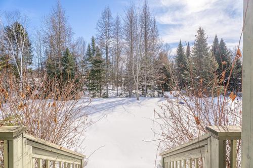 Cour - 38 Imp. Denise, Lac-Supérieur, QC - Outdoor With View