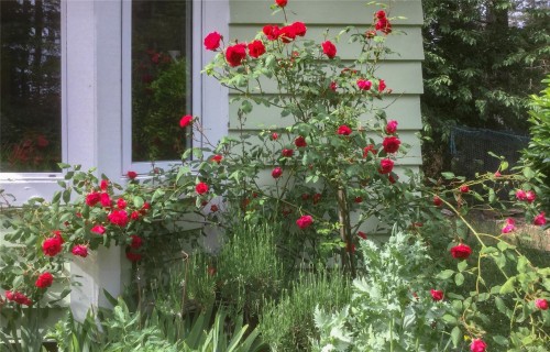 2907 Bevmaril Cres, Gabriola Island, BC 