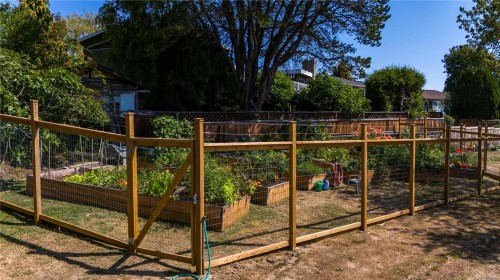 105-3915 St. Georges Lane, Saanich, BC - Outdoor