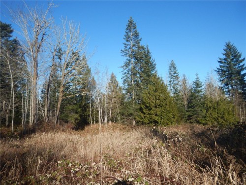 Lot 2 Artela Dr, Fanny Bay, BC 