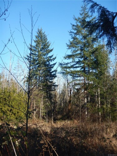 Lot 2 Artela Dr, Fanny Bay, BC 