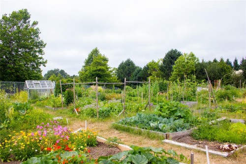 2320 Hazelton Pl, Saanich, BC 