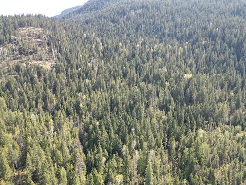 1918 Camozzi Road, Revelstoke, BC - Outdoor With View