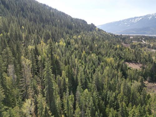 1918 Camozzi Road, Revelstoke, BC - Outdoor With View