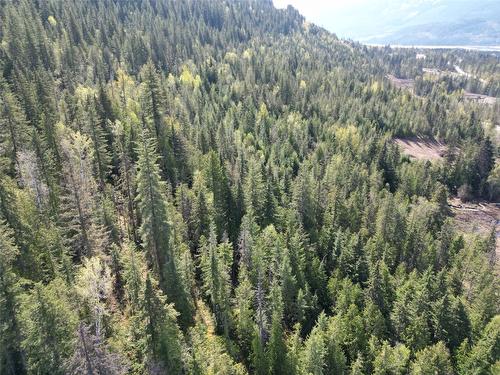 1918 Camozzi Road, Revelstoke, BC - Outdoor With View