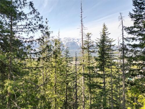 1918 Camozzi Road, Revelstoke, BC - Outdoor With View