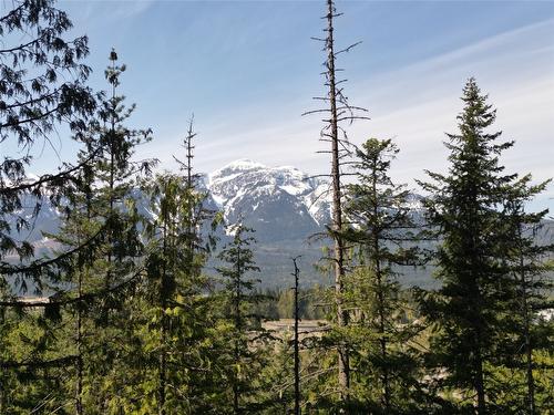 1918 Camozzi Road, Revelstoke, BC - Outdoor With View