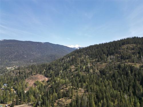1918 Camozzi Road, Revelstoke, BC - Outdoor With View