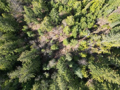 1918 Camozzi Road, Revelstoke, BC - Outdoor