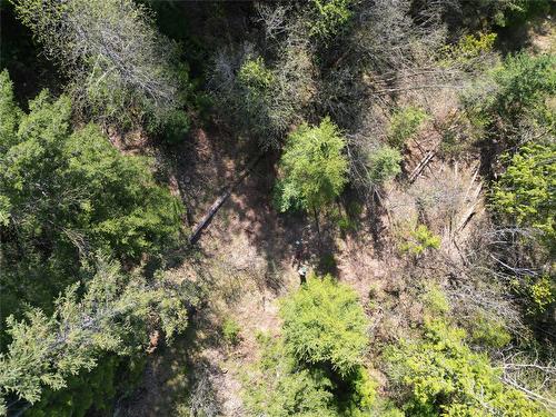 1918 Camozzi Road, Revelstoke, BC - Outdoor