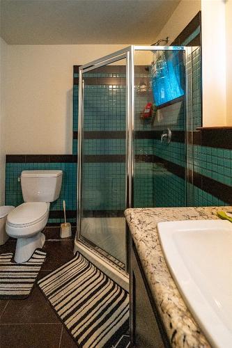 1918 Camozzi Road, Revelstoke, BC - Indoor Photo Showing Bathroom