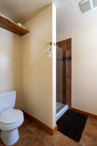 1918 Camozzi Road, Revelstoke, BC - Indoor Photo Showing Bathroom