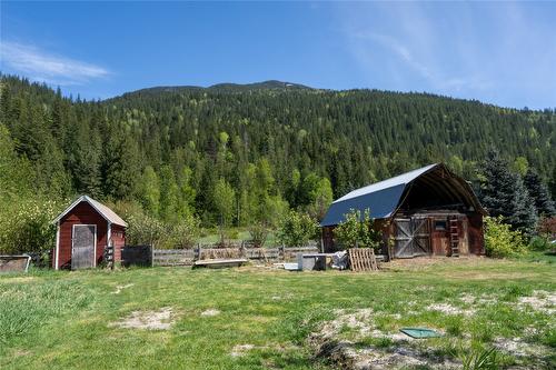 1918 Camozzi Road, Revelstoke, BC - Outdoor With View
