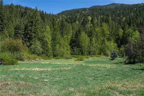 1918 Camozzi Road, Revelstoke, BC - Outdoor With View