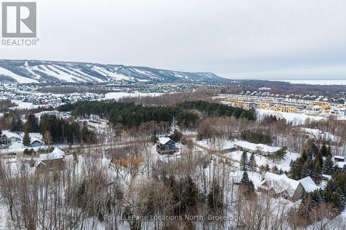 3 Holly Court, Collingwood, ON - Outdoor With View