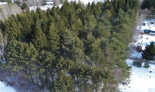 Land/Lot - Rue Des Pins, Sainte-Brigide-D'Iberville, QC 