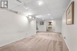 Basement Rec Room - 
