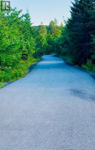 Lot 1191 Route 785, Utopia, NB 