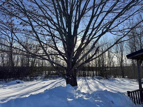 150 Roger Road, Welsford, NS 