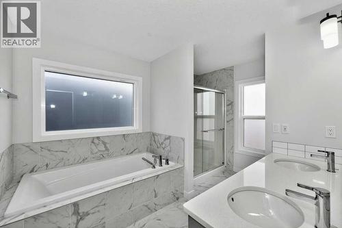 268 Cornerbrook Road Ne, Calgary, AB - Indoor Photo Showing Bathroom