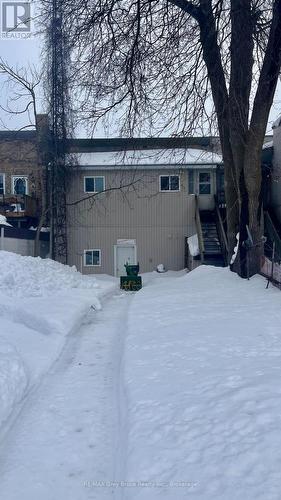 50 1St Avenue S, Arran-Elderslie, ON 