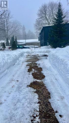 50 1St Avenue S, Arran-Elderslie, ON 