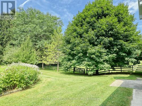 17248 Wyton Drive, Thames Centre, ON - Outdoor