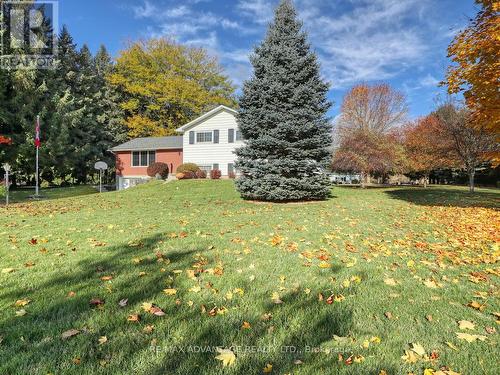 17248 Wyton Drive, Thames Centre, ON - Outdoor
