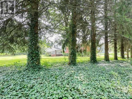 17248 Wyton Drive, Thames Centre, ON - Outdoor