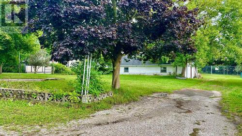 1069 7Th Avenue, Hanover, ON 