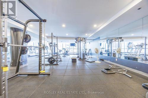 1602 - 219 Fort York Boulevard, Toronto, ON - Indoor Photo Showing Gym Room