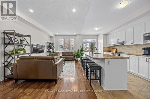259 Hepatica Way, Ottawa, ON - Indoor Photo Showing Kitchen With Upgraded Kitchen