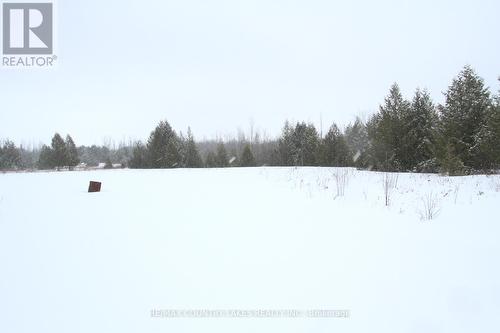 C21973 Brock Road, Brock, ON - Other