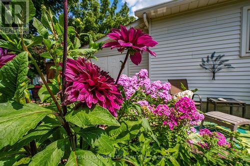 110 Livingston Avenue, Grimsby, ON - Outdoor